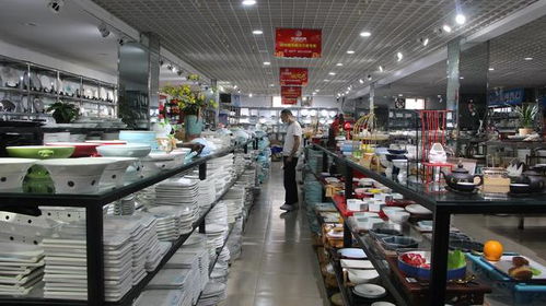 國醫大師張伯禮院士受聘擔任南陽廚具衛具行業健康首席顧問